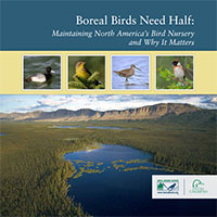 Boreal Birds Need Half