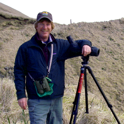 Jim Stratton birds observation