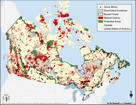 Short-billed Dowitcher Map