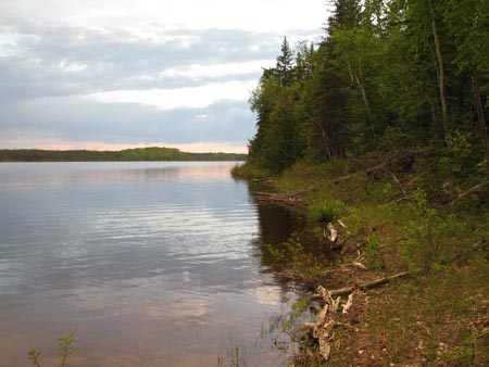 View from Camp