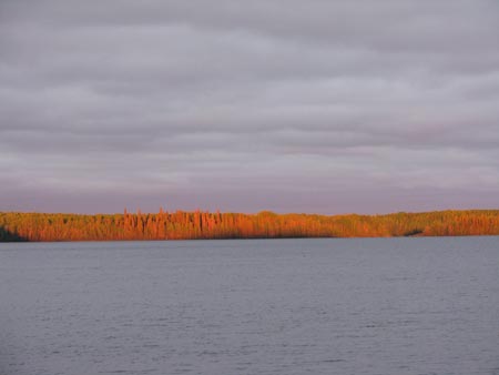 Triangle Lake