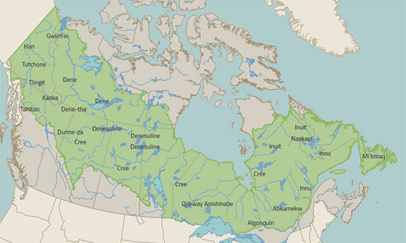 Indigenous Communities In Canada S Boreal Forest Boreal Songbird