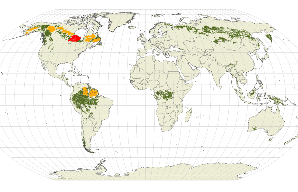 Map of world's last great intact forests