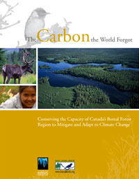 The Carbon the World Forgot - report