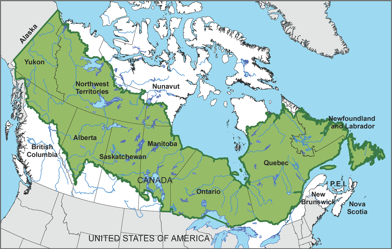 Boreal Forest Canada Map - Rosa Wandie