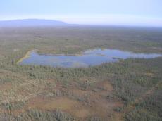 Boreal Forest of Northwest Territories