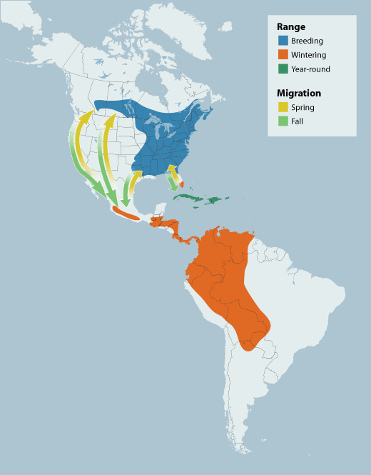 Broad-winged Hawk range map