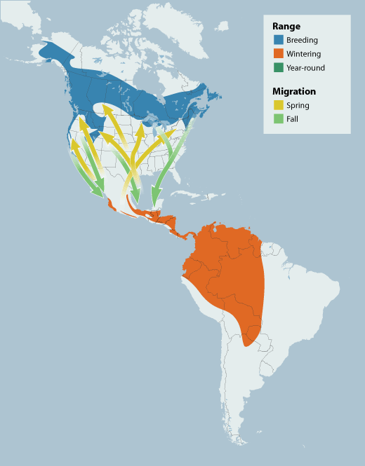 Swainson's Thrush range map