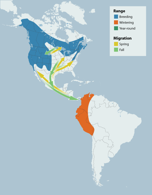 Olive-sided Flycatcher range map