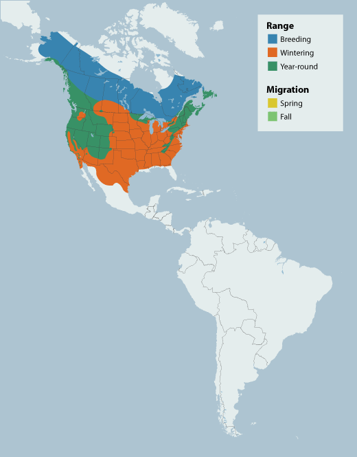 Dark-eyed Junco range map