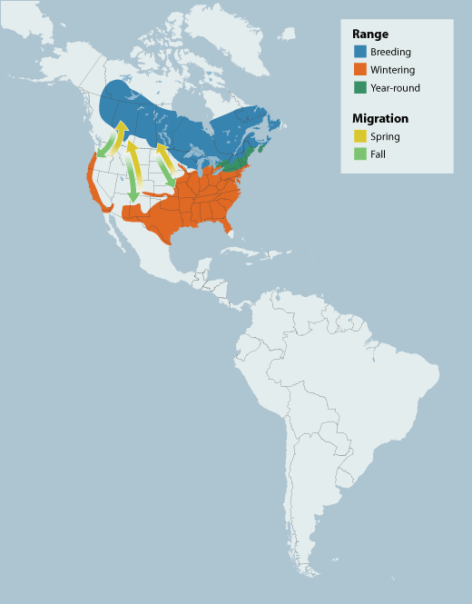 White-throated Sparrow range map