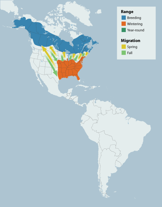 Rusty Blackbird range map