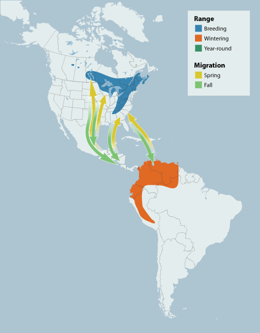 Blackburnian Warbler range map