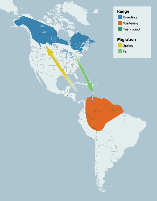 Blackpoll Warbler range map