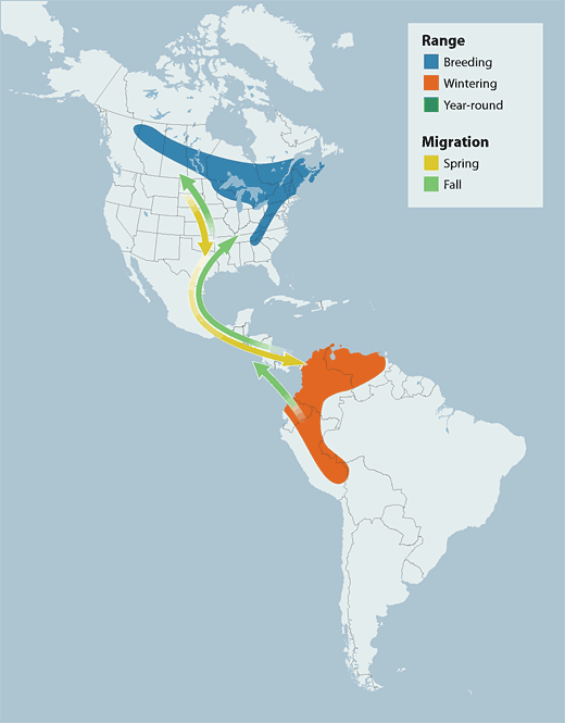 Canada Warbler range map