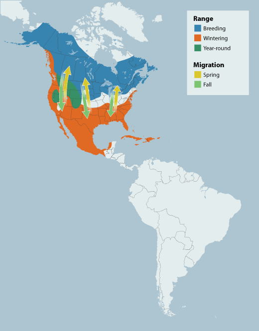 Green-winged Teal range map