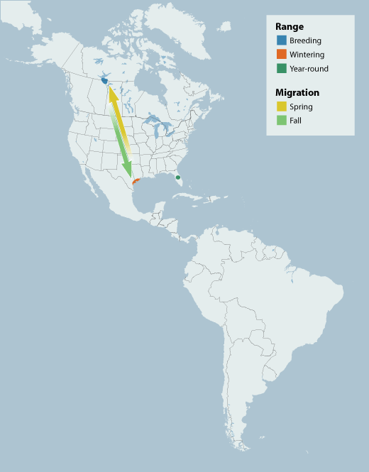 Whooping Crane range map