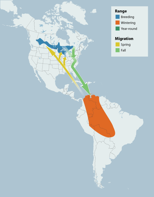 Connecticut Warbler range map