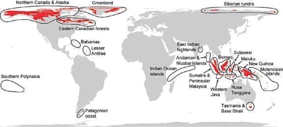 Researchers identify extinction hot spots | Boreal Songbird Initiative