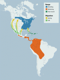 Broad-winged Hawk range map