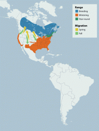 White-throated Sparrow range map