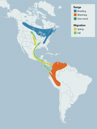 Canada Warbler range map