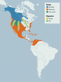 American Wigeon range map
