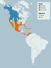 Northern Shoveler range map