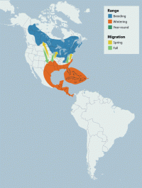 Yellow-bellied Sapsucker range map