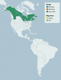 Boreal Chickadee range map